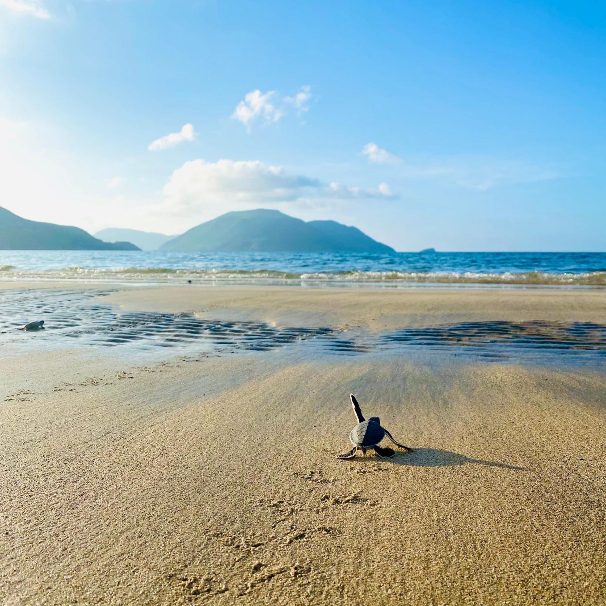 Six Senses Con Dao - Turtle Island Paradise Chi Khu Co Ong Екстериор снимка