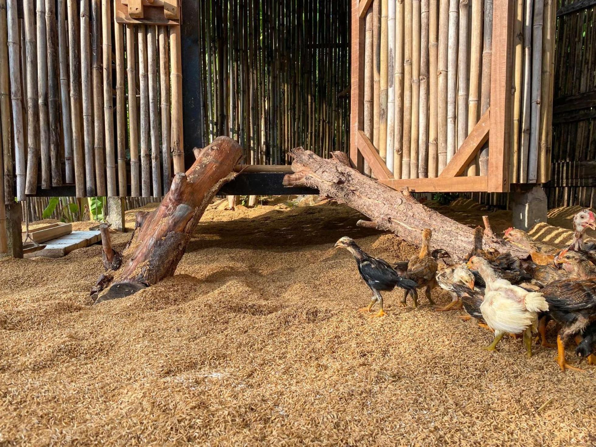 Six Senses Con Dao - Turtle Island Paradise Chi Khu Co Ong Екстериор снимка